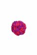 Amazing Pet Products Rope Ball Cheap