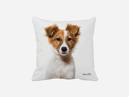 Australian Shepard Puppy Throw Pillow Supply