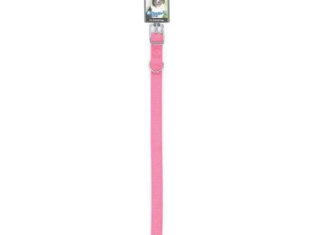 DGR 5 8in Nylon Collar 10in Pink Supply