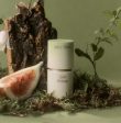 After blow Solid Perfume 04 Forest Woody 6.5g Hot on Sale