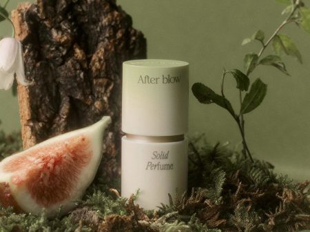 After blow Solid Perfume 04 Forest Woody 6.5g Hot on Sale