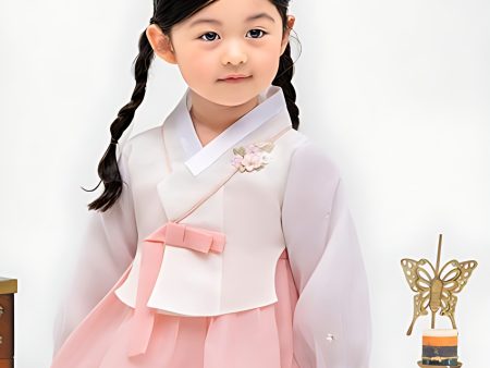 Female Sleeve Lace Girls  Children s Hanbok Set AW159 on Sale